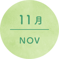 11月