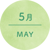 5月